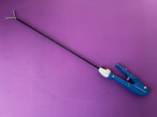 Snowden pencer crocodile - snowden,